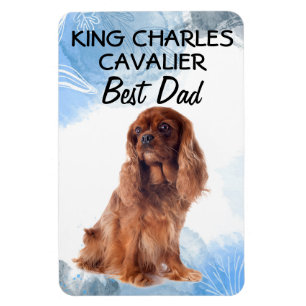 King Charles Cavalier Beste vader Magneet