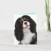 King Charles Cavalier- Note Card Kaart (Voorkant)