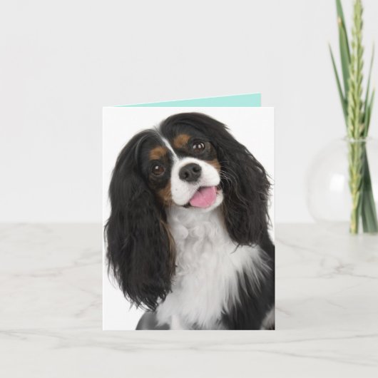 King Charles Cavalier- Note Card Kaart (Voorkant)