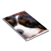 King Charles Cavalier notebook Notitieboek (Rechterzijde)