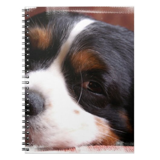 King Charles Cavalier notebook Notitieboek (Voorkant)