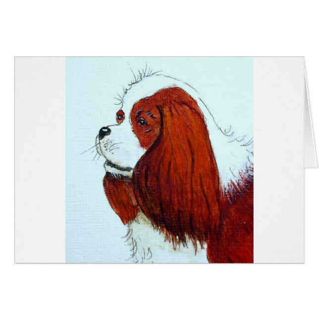 King Charles Cavalier Spaniel (Voorkant Horizontaal)