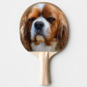 King Charles Cavalier Spaniel Face Tafeltennisbatje (Voorkant)