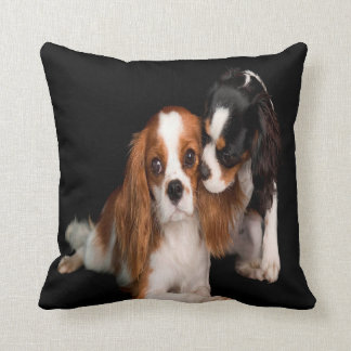 King Charles Cavalier Spaniel Kussen