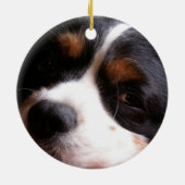 King Charles Cavalier Spaniel Ornament (Achterkant)