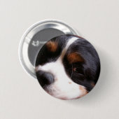 King Charles Cavalier Spaniel Round Button (Voorkant /achterkant)