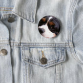 King Charles Cavalier Spaniel Round Button (In situ)