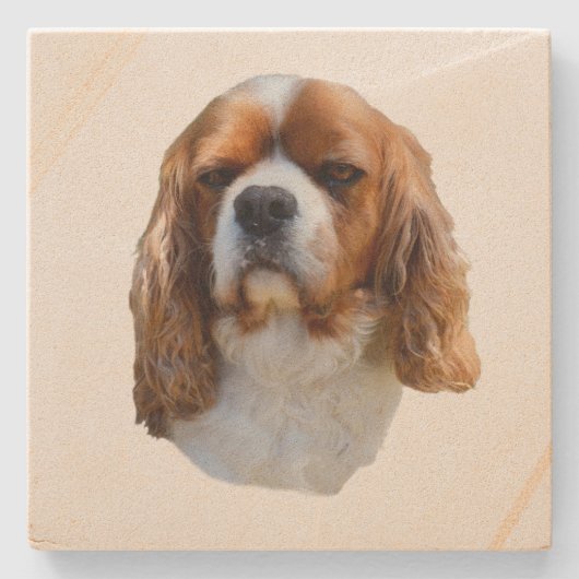 King Charles Cavalier Spaniel Stenen Onderzetter (Voorkant)