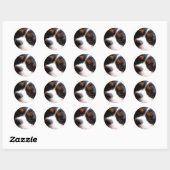 King Charles Cavalier Spaniel Sticker (Vel)