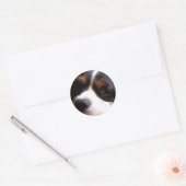 King Charles Cavalier Spaniel Sticker (Envelop)