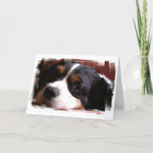 King Charles Cavalier Spaniel Wenskaart Kaart