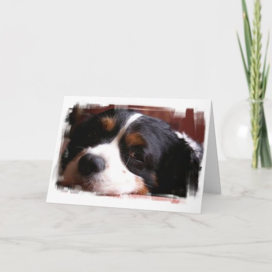 King Charles Cavalier Spaniel Wenskaart Kaart (Voorkant)