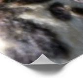 King Cheetah Poster (Hoek)