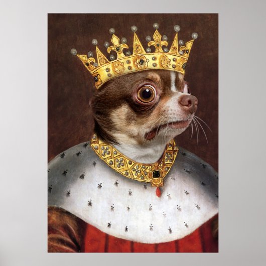 King Chihuahua Poster (Voorkant)