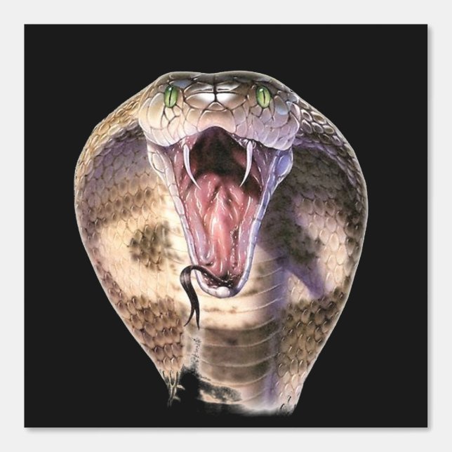 King Cobra Custom Kleur Zwart Behang (Voorkant)