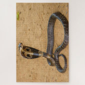 King Cobra Legpuzzel (Verticaal)
