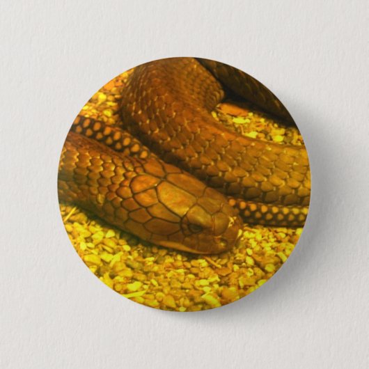 King Cobra Ronde Button 5,7 Cm (Voorkant)