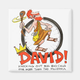 King David Pin Magneet