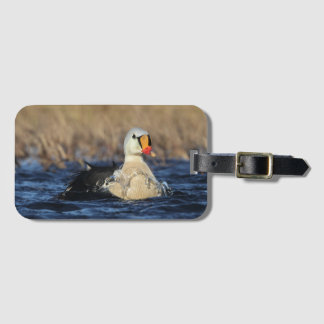 King Eider Bird Bagagelabel