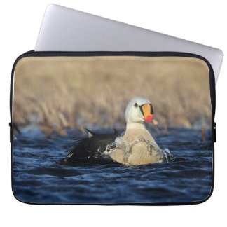 King Eider Bird Laptop Sleeve