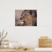 King Lion Poster (Keuken)