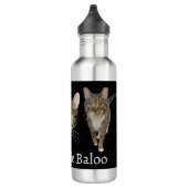 King Louie Waterfles (Rechts)