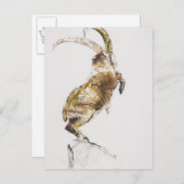 King of the Mountain 2005 Briefkaart (Voorkant / Achterkant)