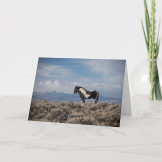 "King of the Mountain" Kaart