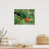 King Parrot Poster (Keuken)