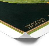 King Pelican California Iceberg Lettuce Poster (Hoek)