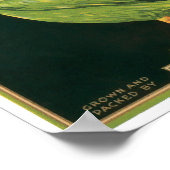 King Pelican Lettuce Vegetable Label Poster (Hoek)