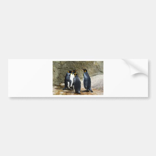 King Penguin Bumpersticker (Voorkant)