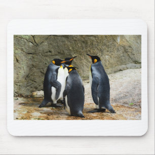 King Penguin Muismat