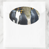 King Penguin Ovale Sticker (Tas)