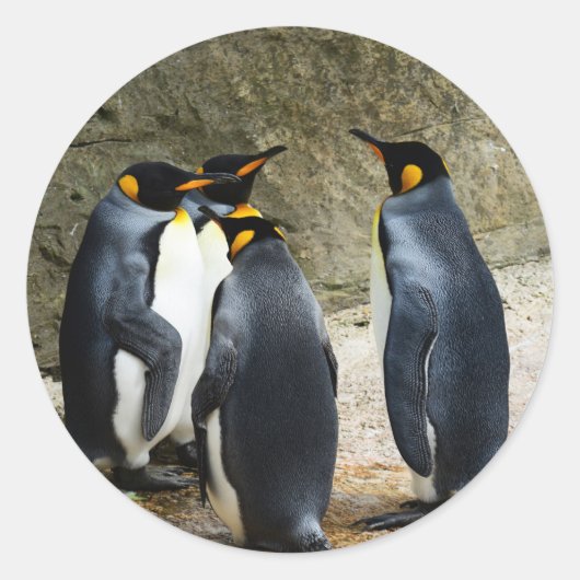 King Penguin Ronde Sticker (Voorkant)