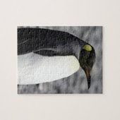King Penguin, Salisbury Plain, Zuid-Georgië Legpuzzel (Horizontaal)