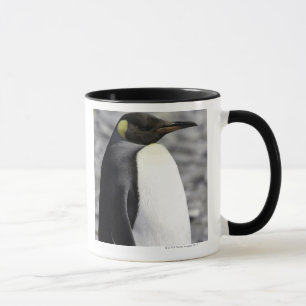 King Penguin, Salisbury Plain, Zuid-Georgië Mok