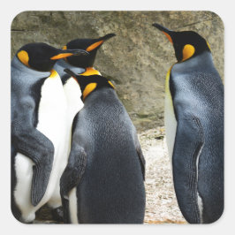 King Penguin Vierkante Sticker