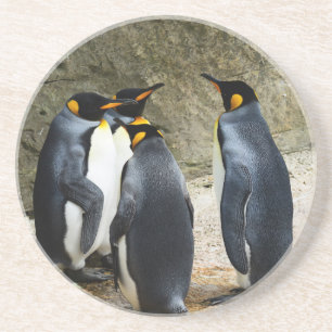 King Penguin Zandsteen Onderzetter