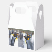 King Penguins Bedankdoosjes (Geopend)