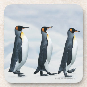 King Penguins die in één bestand lopen Bier Onderzetter