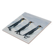 King Penguins die in één bestand lopen Tegeltje (Zijkant)