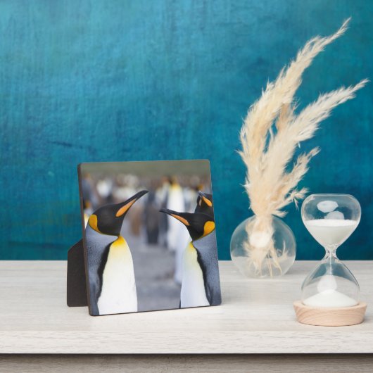 King Penguins Fotoplaat (Insitu)