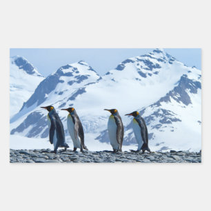 King Penguins in South Georgia Rechthoekige Sticker
