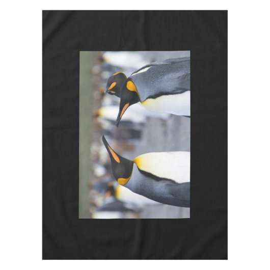 King Penguins Tafelkleed (Voorkant)