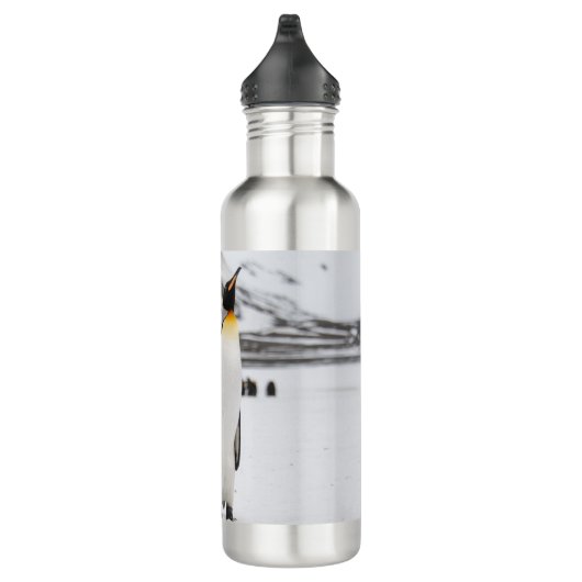 King Penguins Waterfles (Rechts)