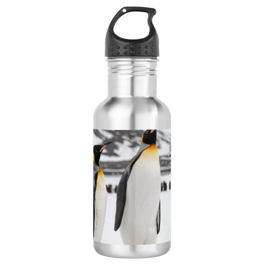King Penguins Waterfles (Voorkant)