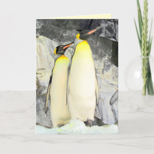 King Penguins Wenskaart Kaart