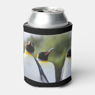 King pinguins blikjeskoeler