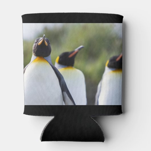 King pinguins blikjeskoeler (Achterkant)
